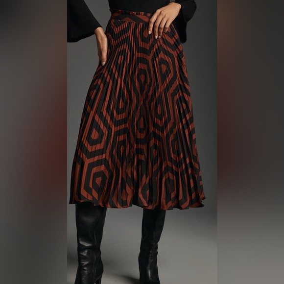 Anthropologie the Valerie Pleated Midi Skirt - Picture 2 of 5